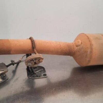 Catalytic Converter FORD TRANSIT CUSTOM V362 Van (FY, FZ)