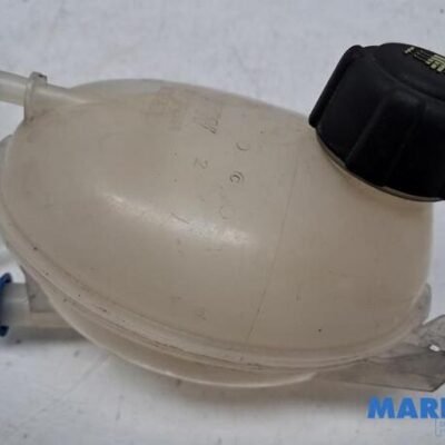Coolant Expansion Tank RENAULT CLIO IV (BH_)