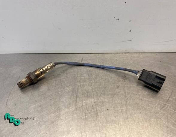 Lambda Sensor / NOx Sensor FIAT 500 (312_), FIAT 500 C (312_), FORD KA (RU8)