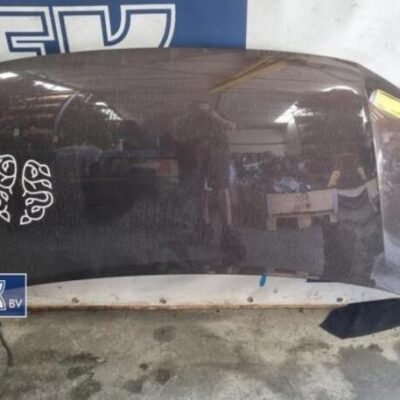 Bonnet VW TRANSPORTER V Van (7HA, 7HH, 7EA, 7EH), VW TRANSPORTER VI Van (SGA, SGH, SHA, SHH)