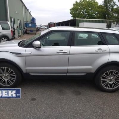Door LAND ROVER RANGE ROVER EVOQUE (L538)