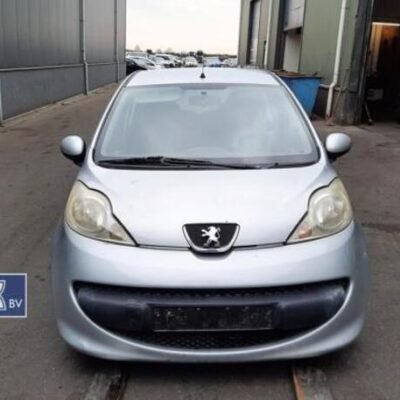 Bonnet PEUGEOT 107 (PM_, PN_)