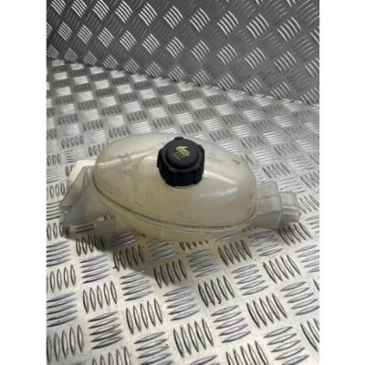 Coolant Expansion Tank RENAULT MASTER III Van (FV)