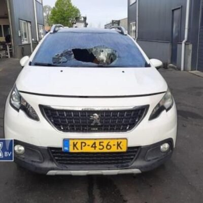 Bonnet PEUGEOT 2008 I (CU_)
