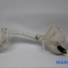 Washer Fluid Tank (Bottle) PEUGEOT 308 I (4A_, 4C_)