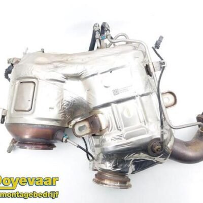 Diesel Particulate Filter (DPF) FIAT DOBLO Cargo (263_), FIAT DOBLO Platform/Chassis (263_), FIAT DOBLO MPV (263_)
