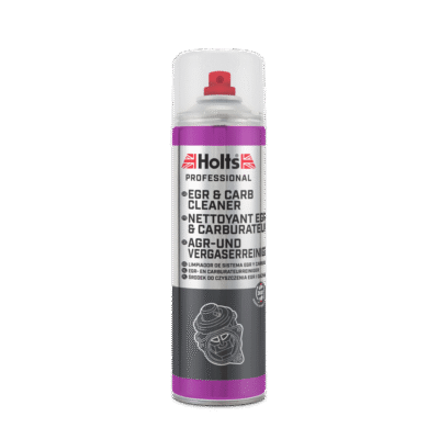 EGR & Carb Cleaner