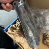 Gear Shift Lever Repair Kit Iveco EuroCargo MAN ZF Ventilblock 0501219311 81325506016