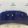 7901R1 Original Part Number – new or used Bonnet