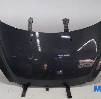 7901P6 Original Part Number – new or used Bonnet